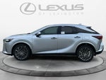 2026 Lexus RX 350 Luxury