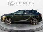 2026 Lexus RX 350 Premium+