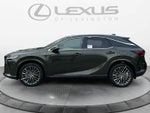 2026 Lexus RX 350 Luxury