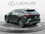 2026 Lexus RX 350 Luxury