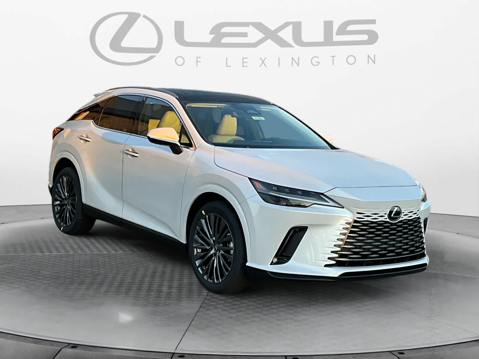 2026 Lexus RX Luxury