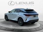 2026 Lexus RX 350 Luxury