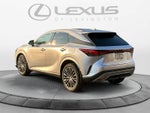 2026 Lexus RX 350 Luxury