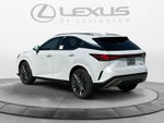 2026 Lexus RX 350 Luxury