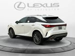 2026 Lexus RX 350 Luxury