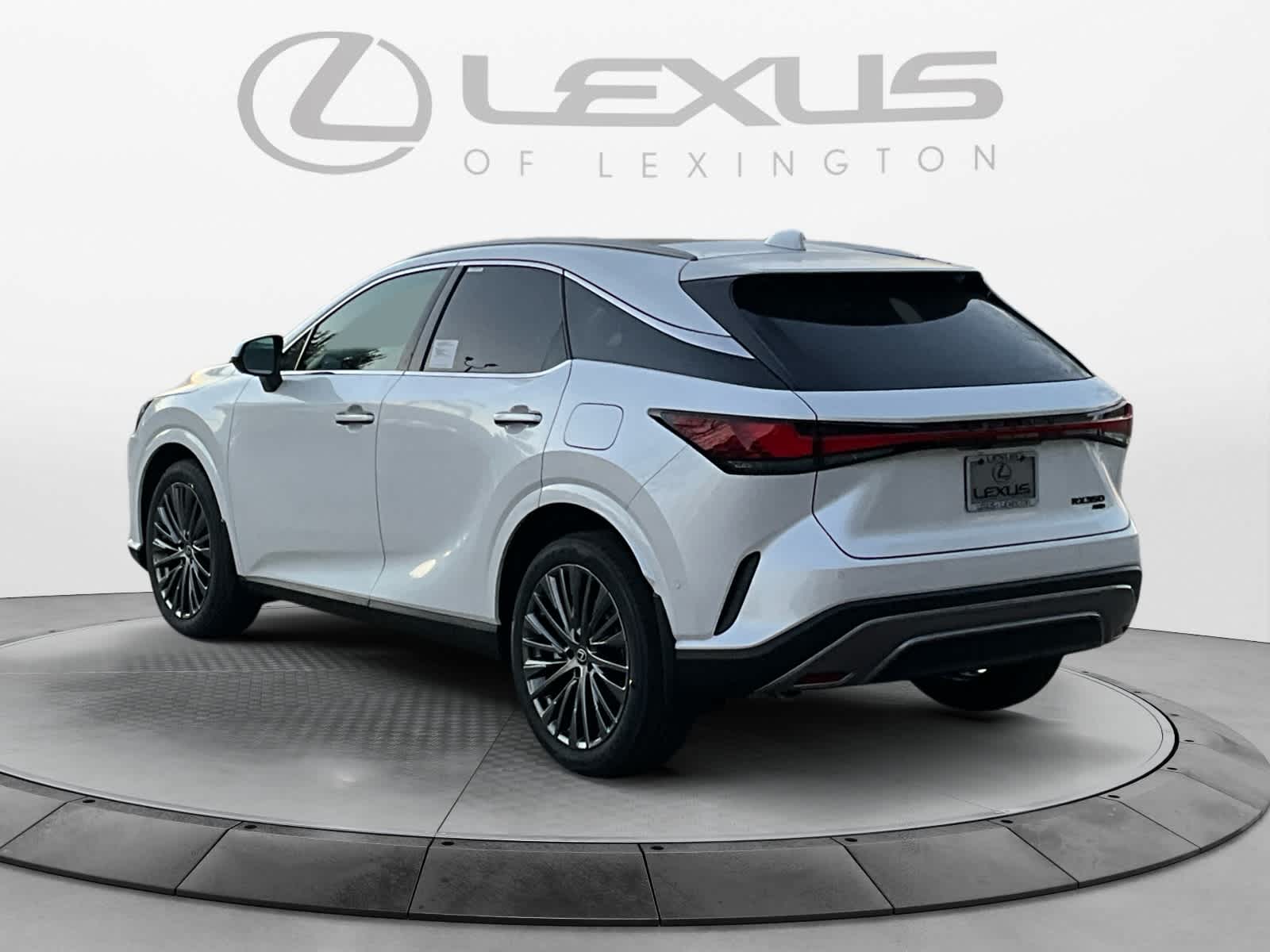2026 Lexus RX Luxury