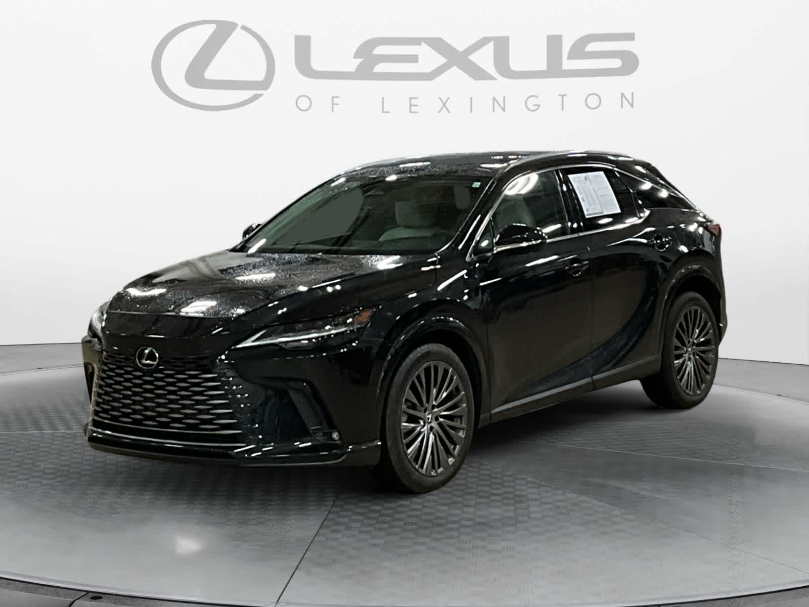 2023 Lexus RX Luxury
