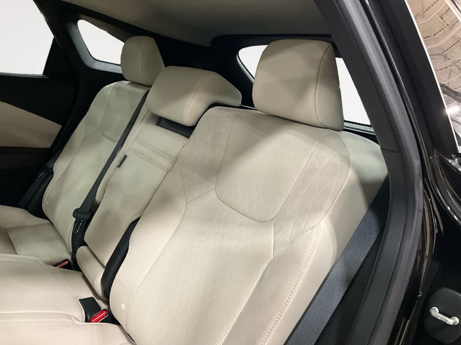 2023 Lexus RX Luxury