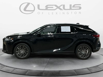 2023 Lexus RX Luxury