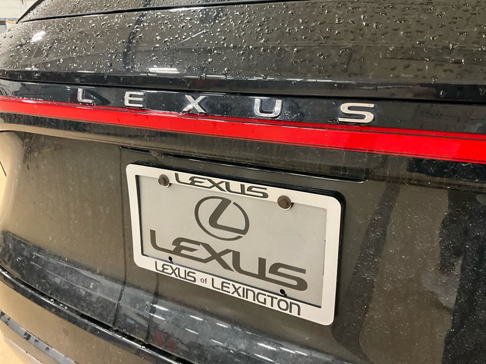 2023 Lexus RX Luxury
