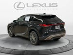 2023 Lexus RX Luxury