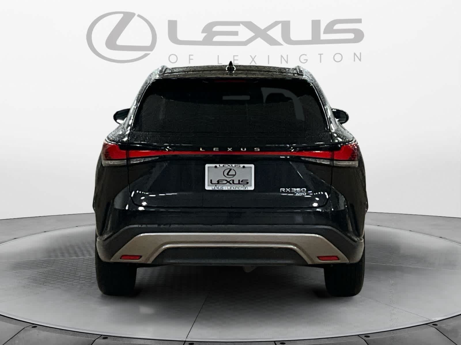 2023 Lexus RX Luxury