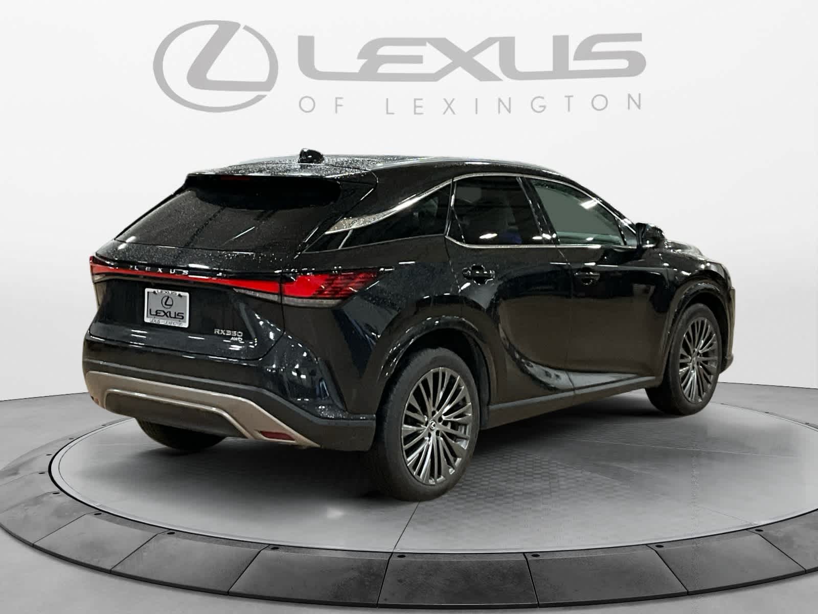 2023 Lexus RX Luxury