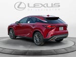 2026 Lexus RX 350 Luxury