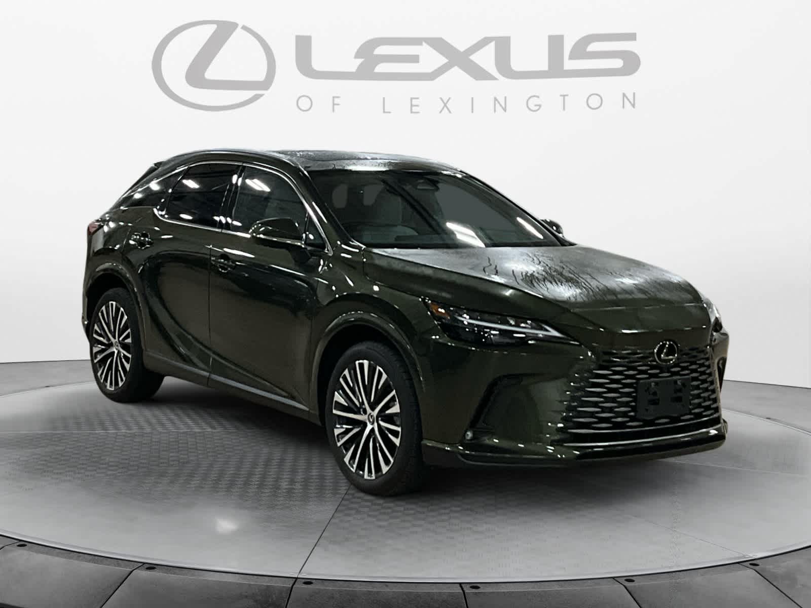 2024 Lexus RX 350h Premium Plus