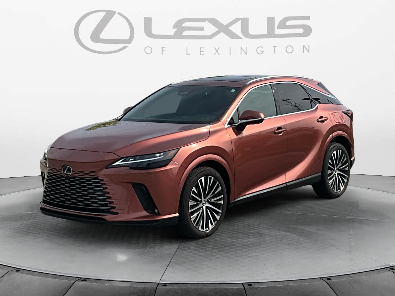 2023 Lexus RX 350h Premium Plus