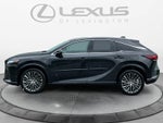 2023 Lexus RX 350h Luxury
