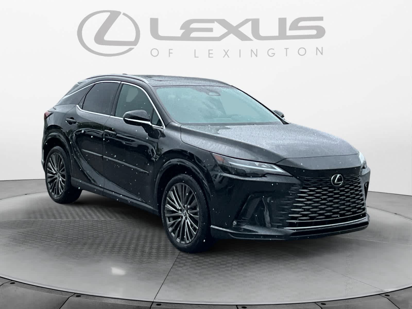 2023 Lexus RX 350h Luxury