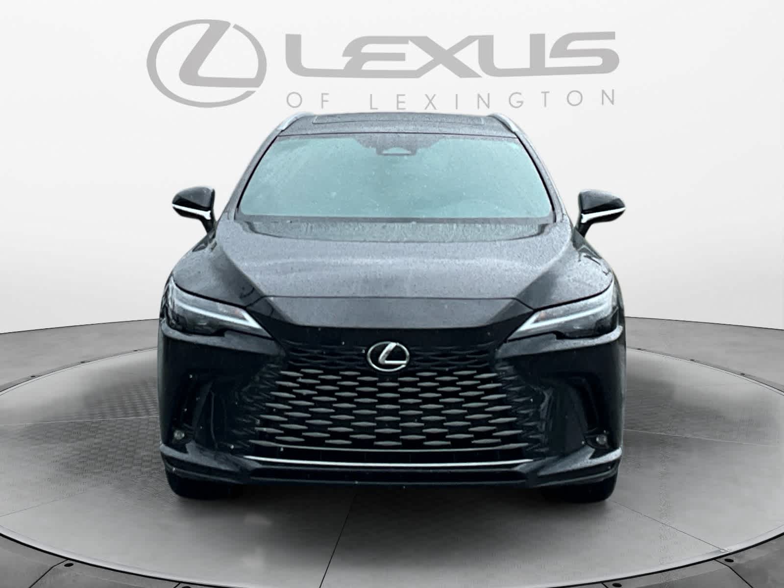 2023 Lexus RX 350h Luxury