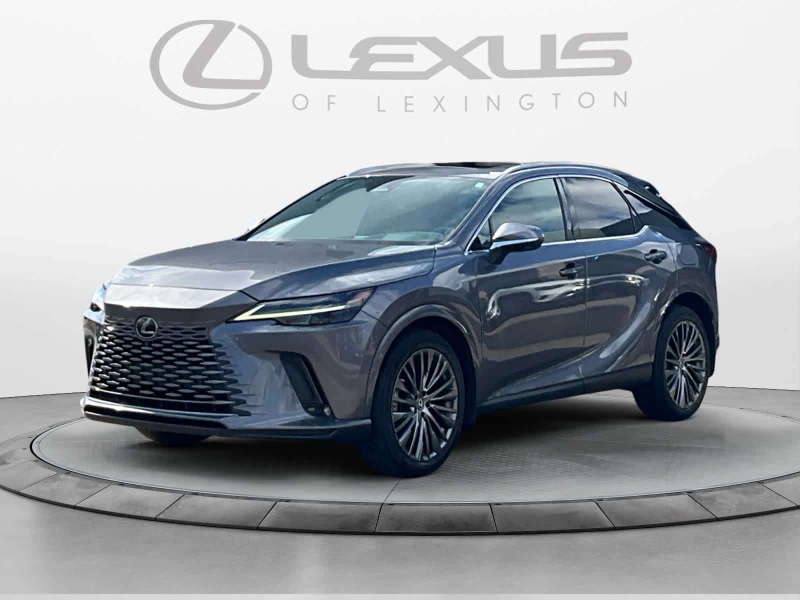 2023 Lexus RX Luxury