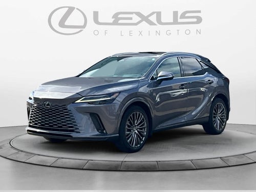 2023 Lexus RX Luxury