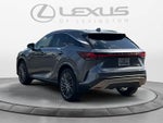 2023 Lexus RX Luxury