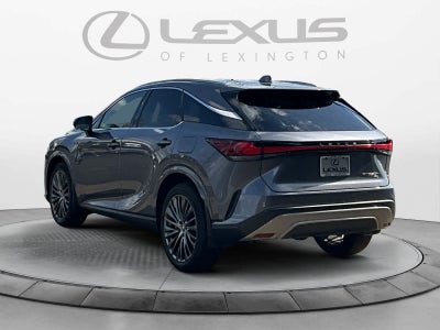 2023 Lexus RX Luxury