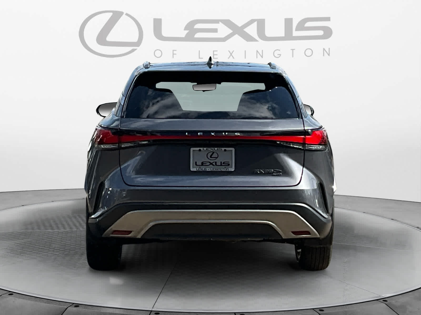 2023 Lexus RX Luxury