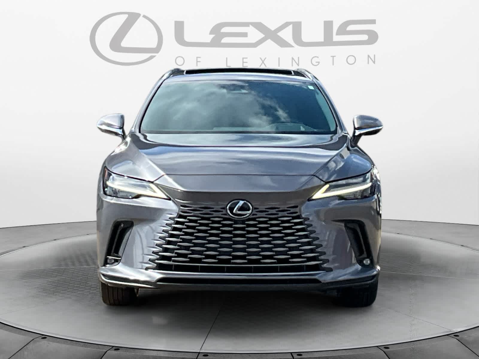 2023 Lexus RX Luxury