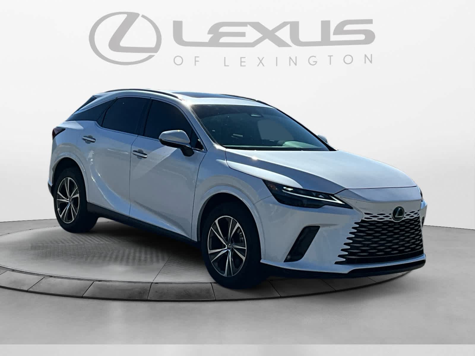 2023 Lexus RX 350h Premium