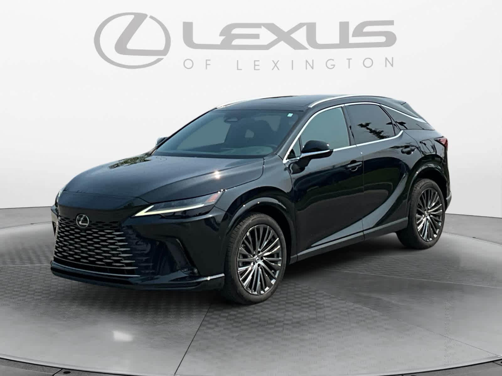 2023 Lexus RX 350h Luxury