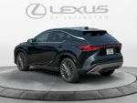 2023 Lexus RX 350h Luxury