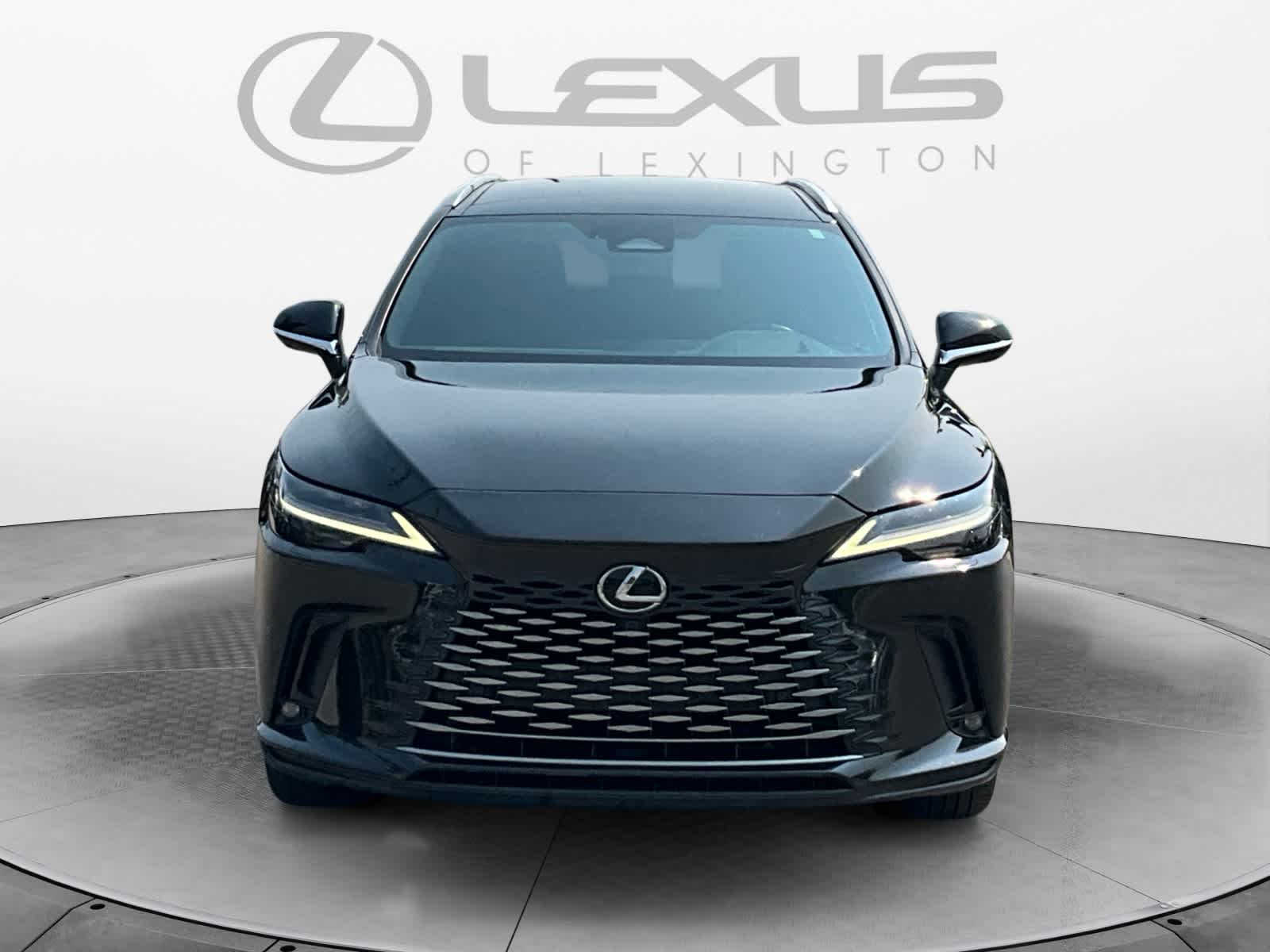 2023 Lexus RX 350h Luxury