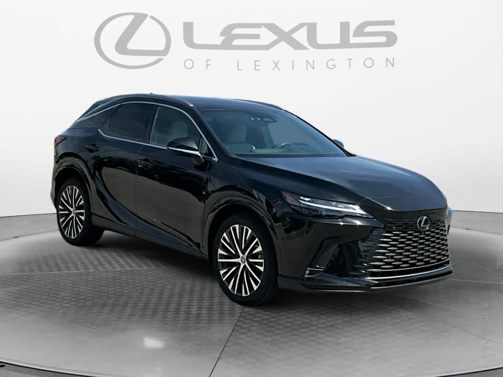 2023 Lexus RX 350h Premium Plus