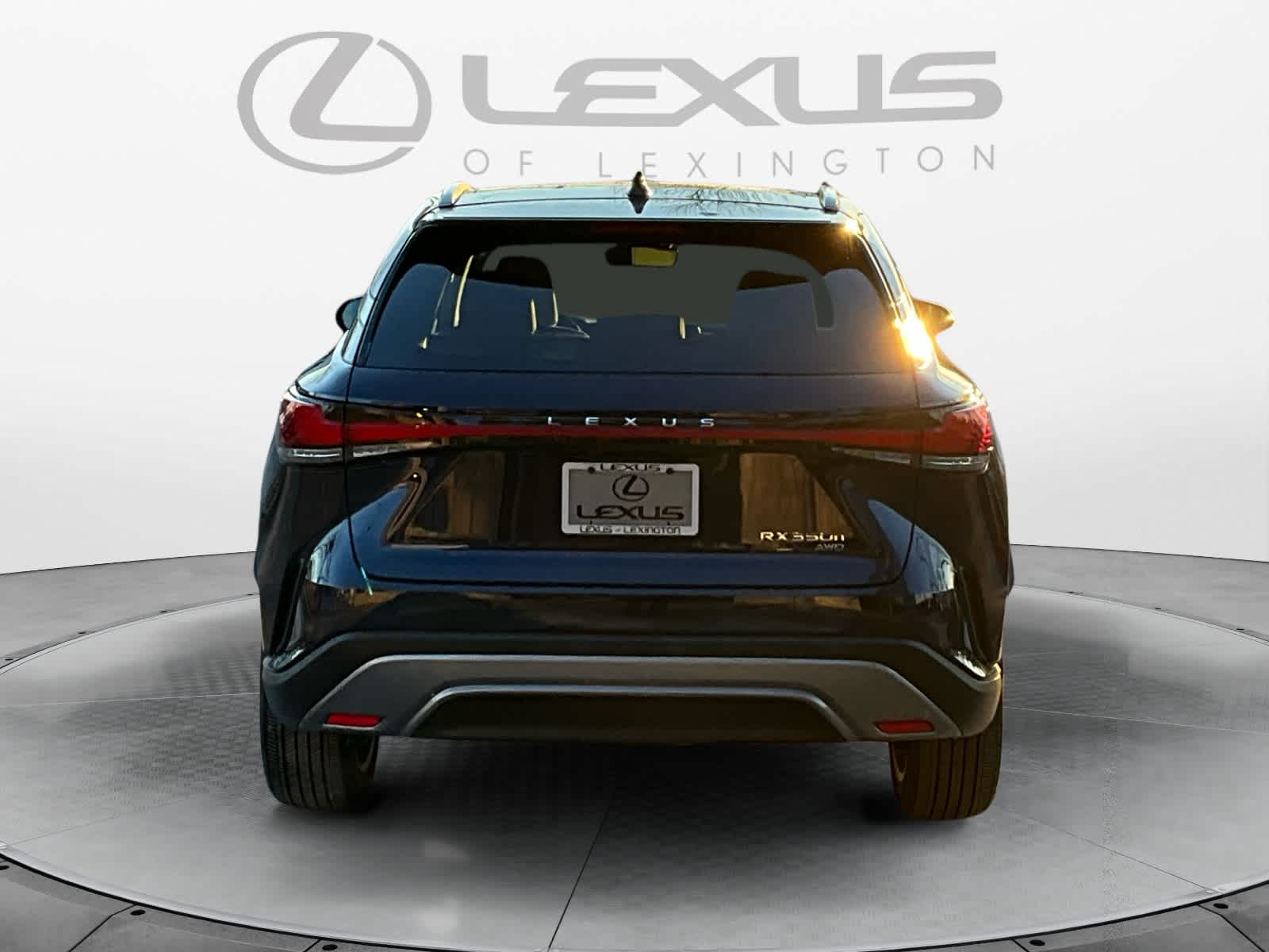 2024 Lexus RX Luxury