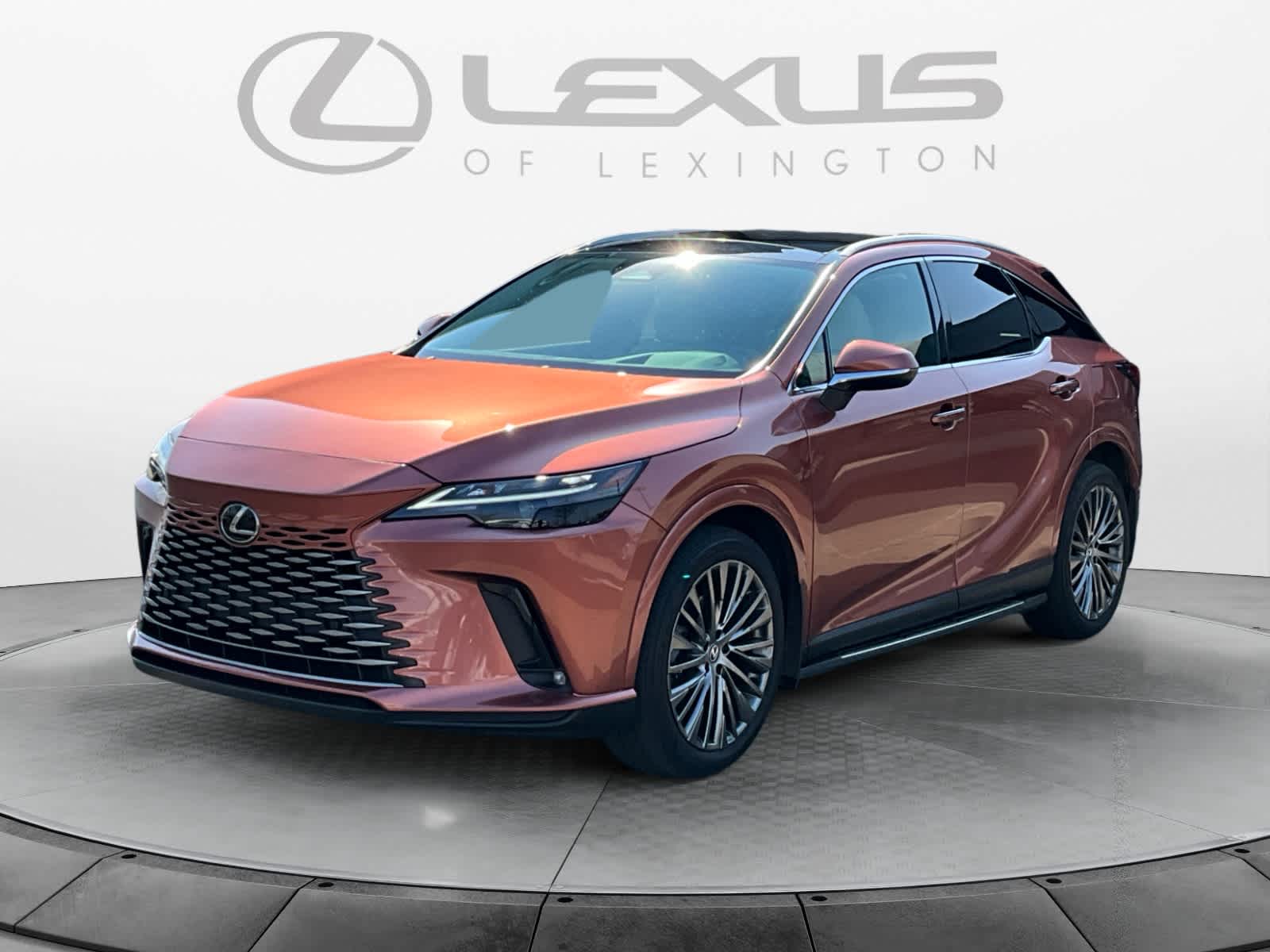 2024 Lexus RX 350h Luxury