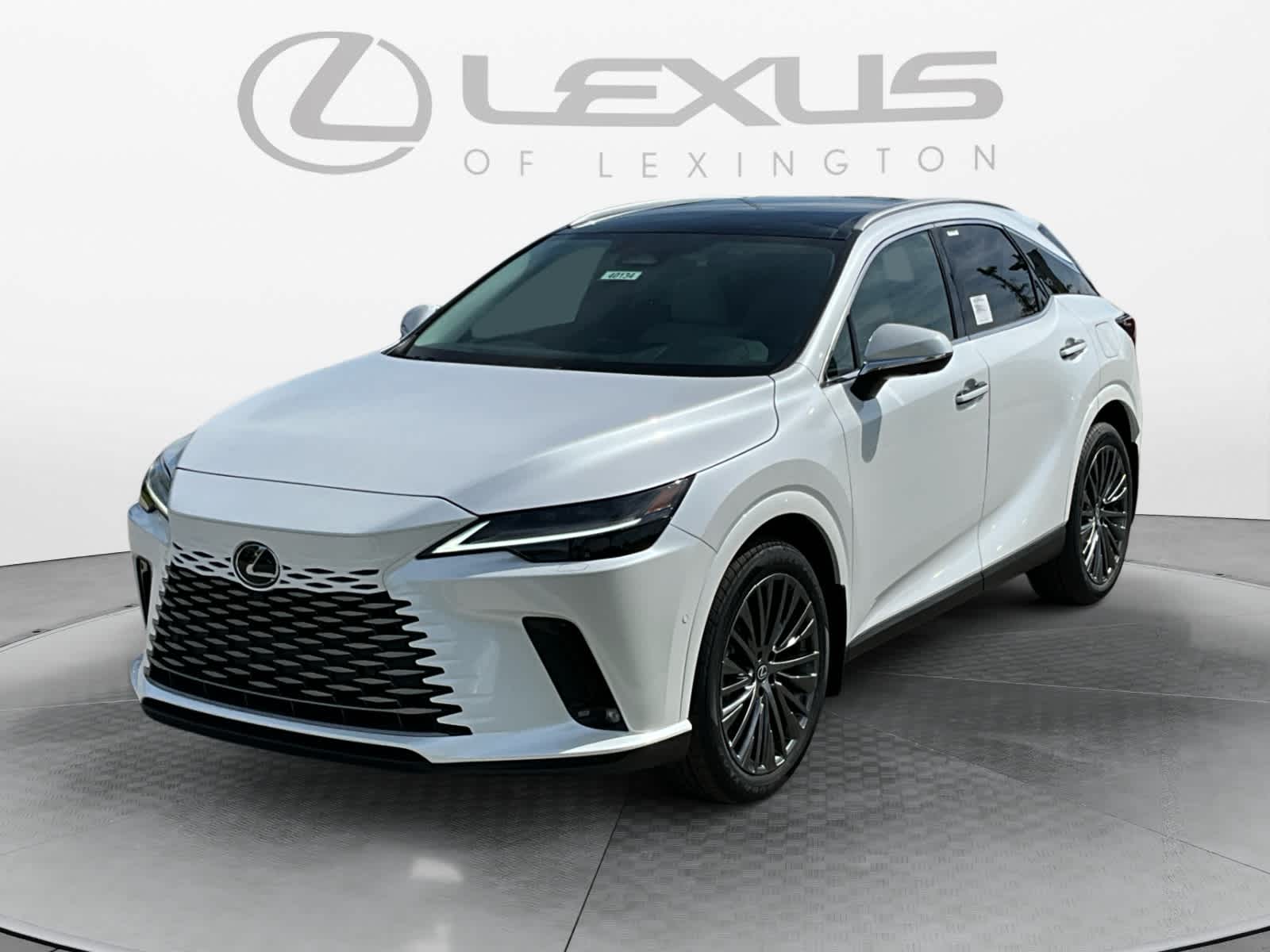 2026 Lexus RX Luxury