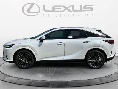 2026 Lexus RX Luxury