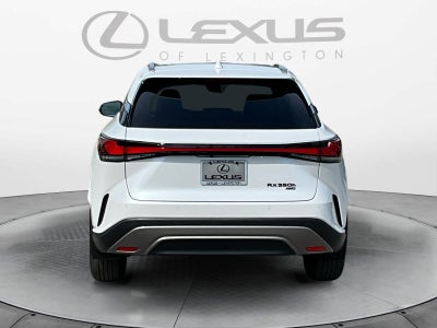 2026 Lexus RX Luxury
