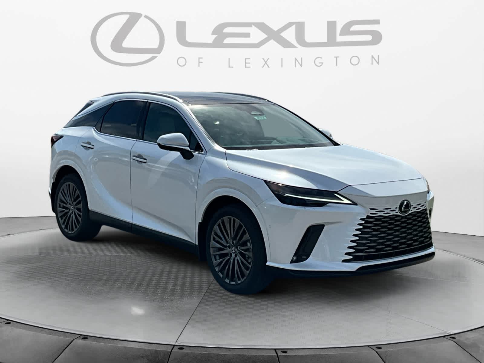 2026 Lexus RX Luxury