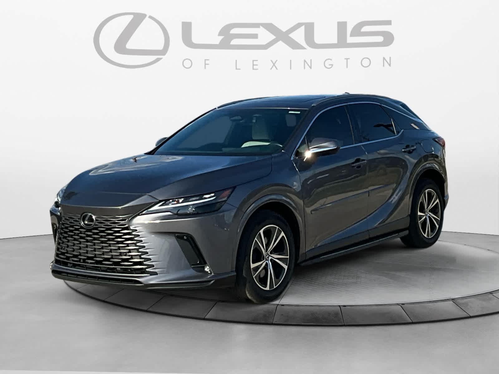 2023 Lexus RX 350h Premium