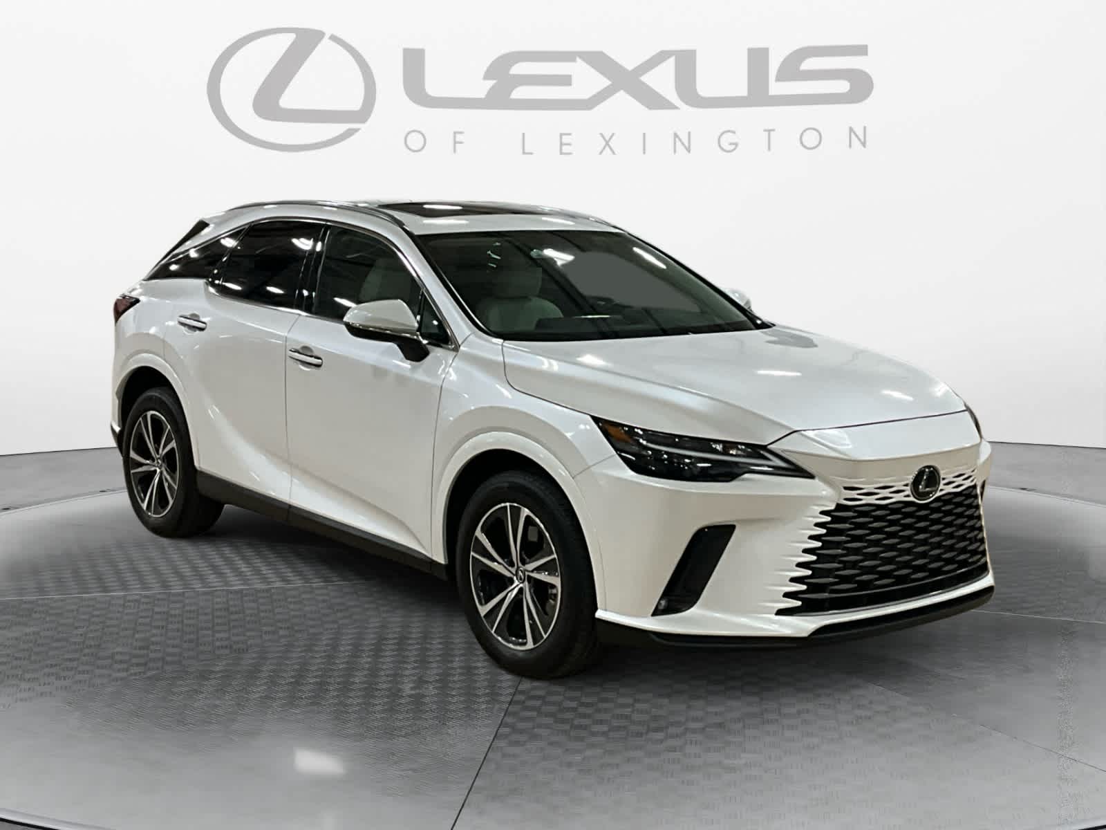 2023 Lexus RX 350h Premium
