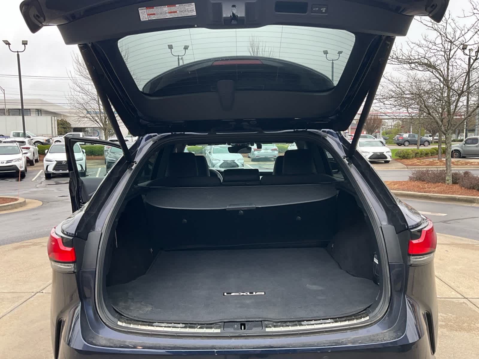 2024 Lexus RX 350h Premium