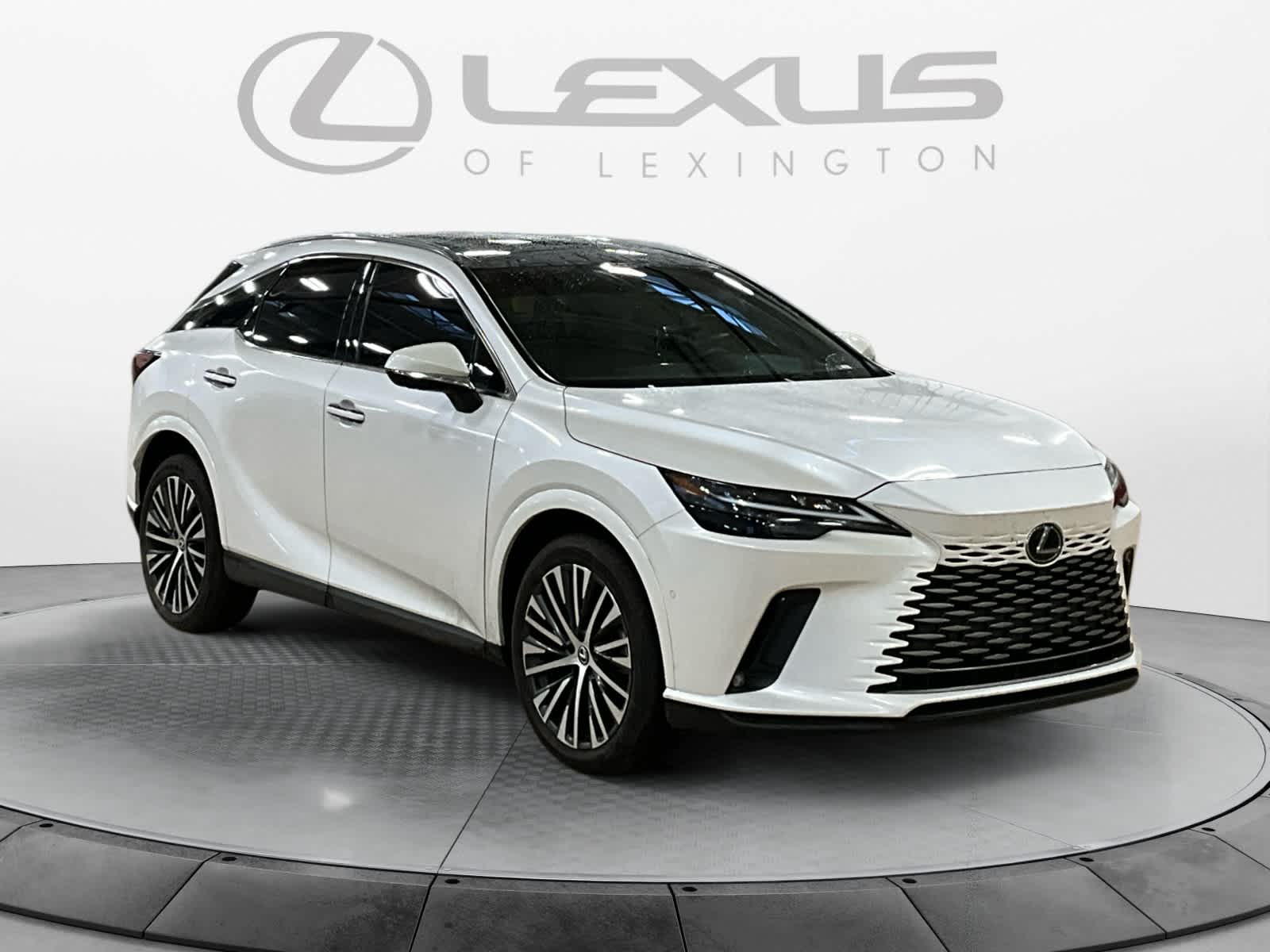 2023 Lexus RX 350h Premium Plus