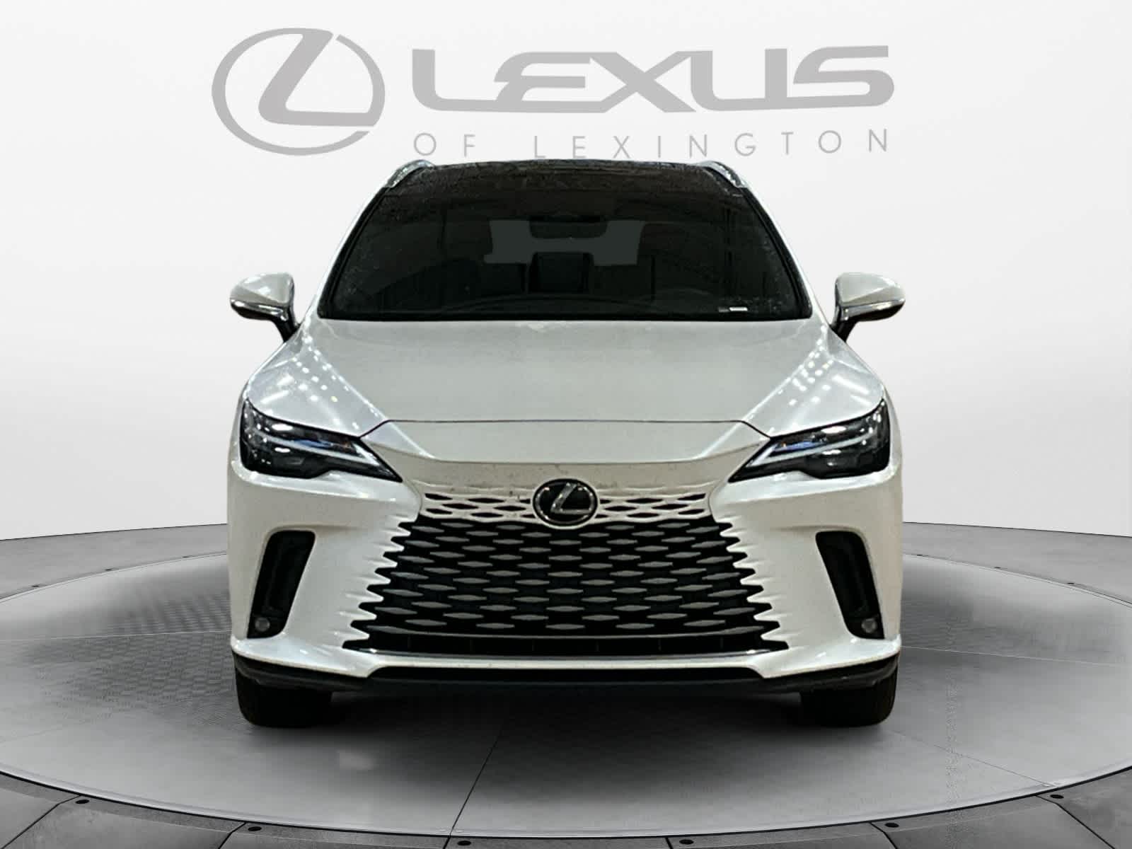 2023 Lexus RX 350h Premium Plus