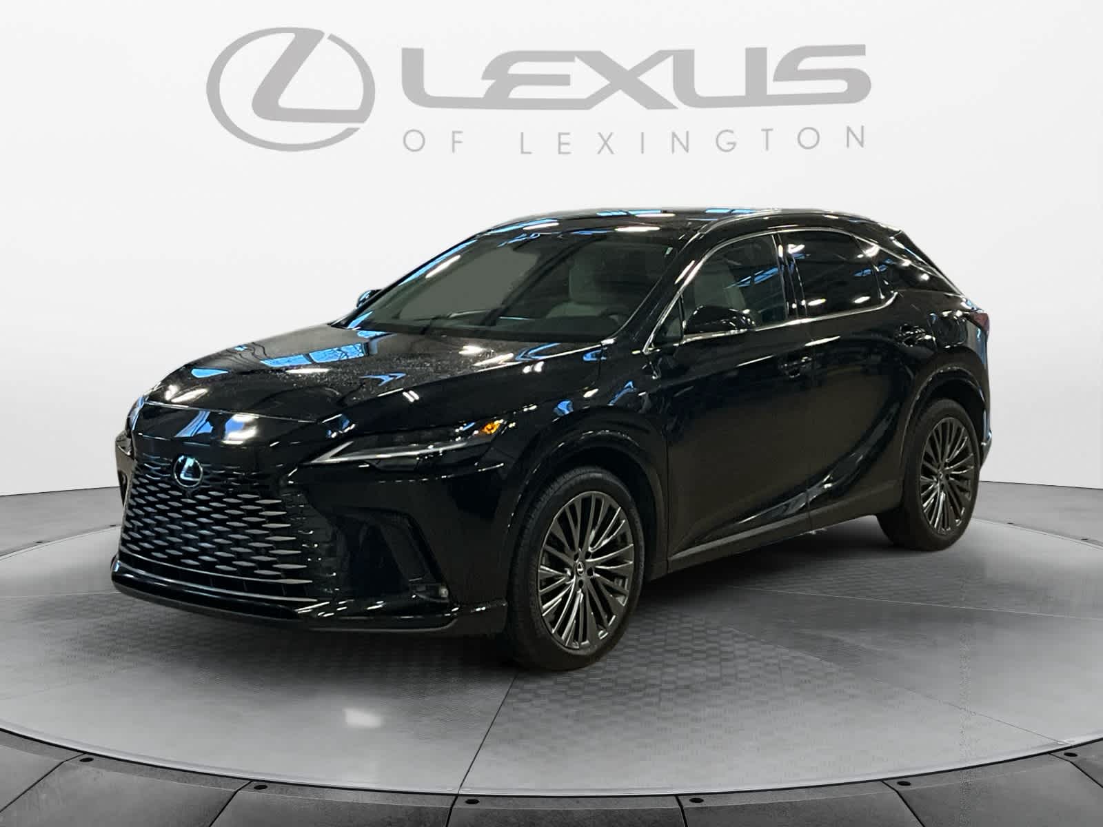 2025 Lexus RX Luxury