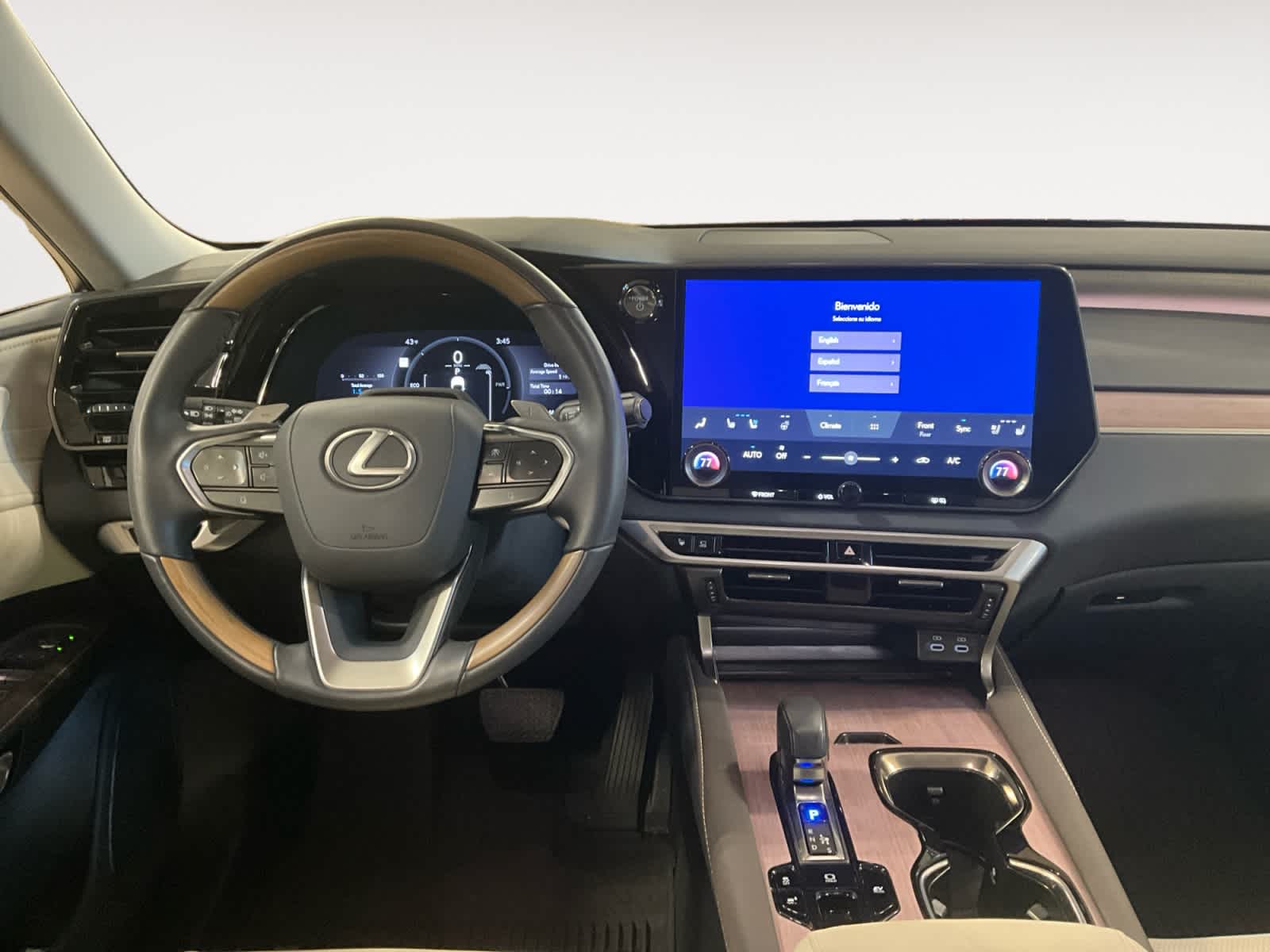 2025 Lexus RX Luxury