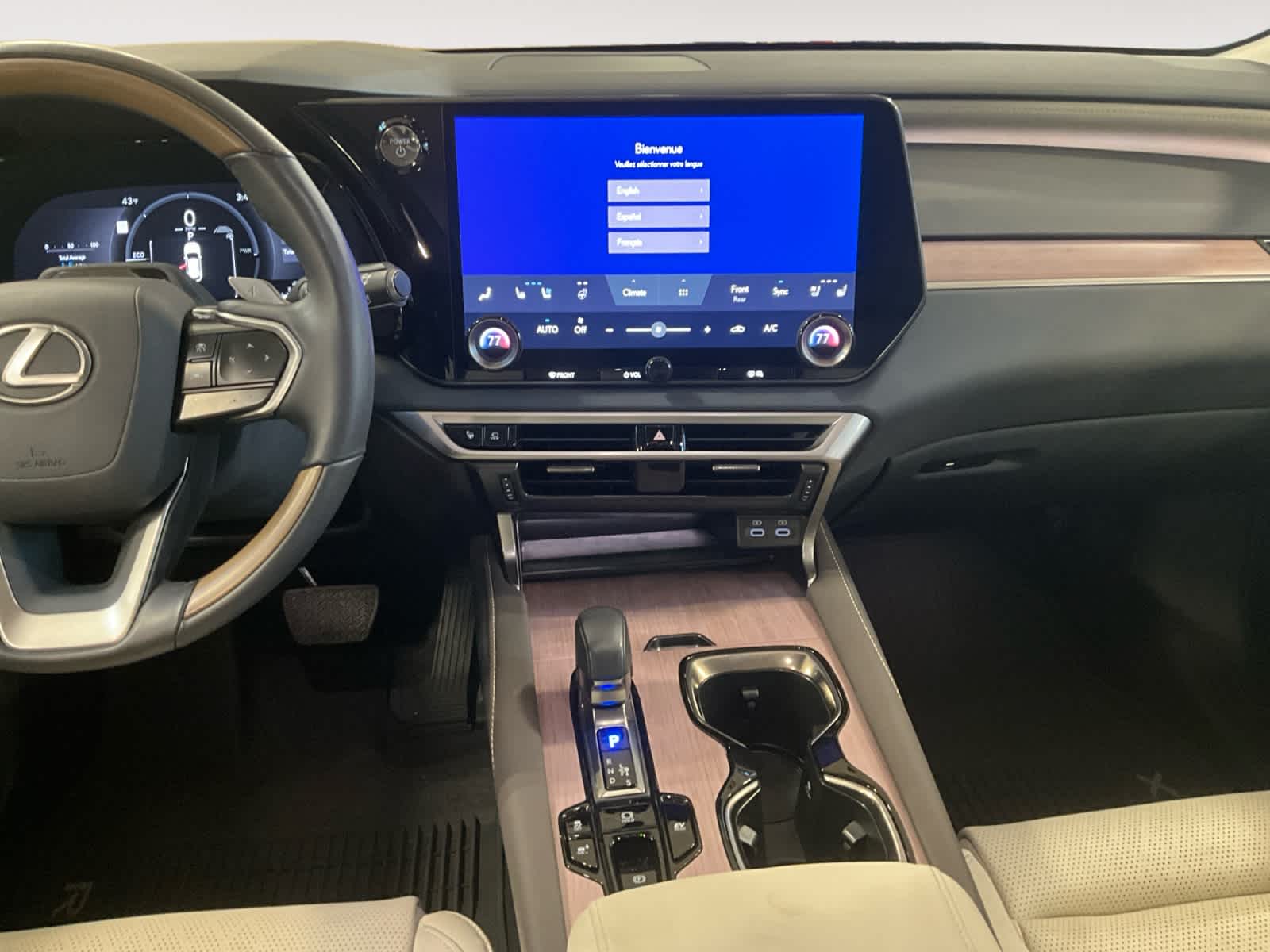 2025 Lexus RX Luxury