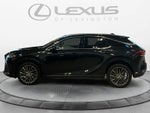 2025 Lexus RX Luxury
