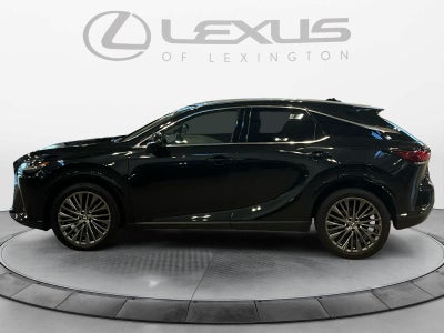 2025 Lexus RX Luxury